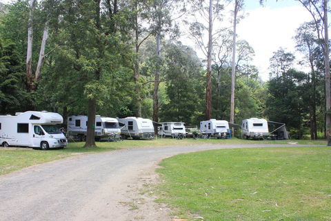 Tarra Valley Caravan Park - Accommodation Redcliffe 2