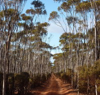 Victoria Rock Camp at Goldfields Woodlands National Park - Accommodation Redcliffe
