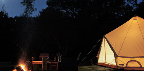 Zeehan Bush Camp - Accommodation Redcliffe 1