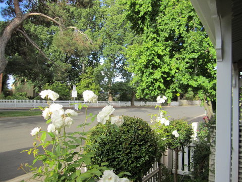 Arendon Cottage - Accommodation Redcliffe 1