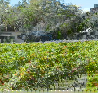 Just Red Wines Vineyard Cabins - Accommodation Redcliffe