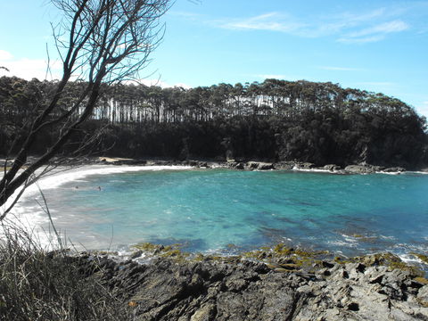 Lilli Pilli Beach Bed And Breakfast - Accommodation Redcliffe 2
