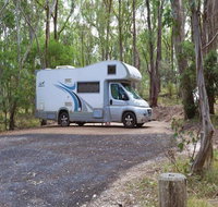 Wollomombi campground - Accommodation Redcliffe