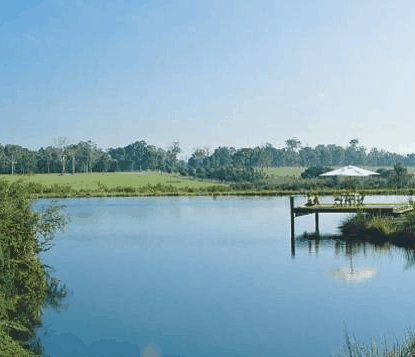 Forest Rise Eco Retreat - Accommodation Redcliffe