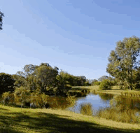 BIG4 Peppermint Caravan Park - Accommodation Redcliffe