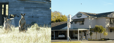 Acacia Motor Inn - Accommodation Redcliffe 5