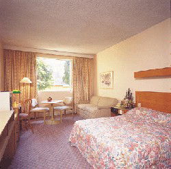 Country Comfort Armidale - Accommodation Redcliffe 3