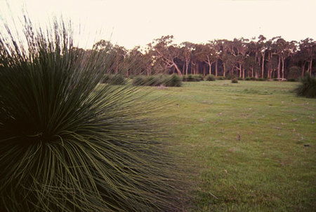 Caves Road Chalets - Accommodation Redcliffe 1