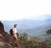 Mimosa Hill Wildflower Farm Cottages - Accommodation Redcliffe