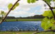 Bettenays Lakeside Loft Apartment And Vineyard Chalets - thumb 0