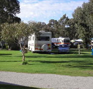 Pinjarra Caravan Park - Accommodation Redcliffe