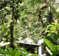 Daintree Ecolodge - Accommodation Redcliffe