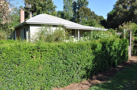 Honeysuckle Cottage - Accommodation Redcliffe 1