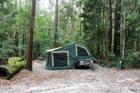 K'gari (Fraser Island) Camping, Great Sandy National Park - Accommodation Redcliffe 2