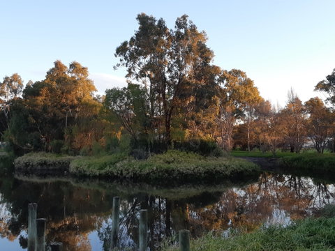 McLaren Vale Lakeside Caravan Park - Accommodation Redcliffe 1