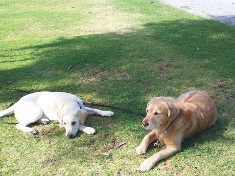 McLaren Vale Lakeside Caravan Park - Accommodation Redcliffe 2