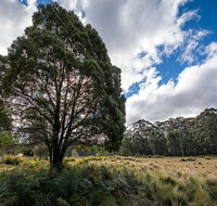Nunnock campground - Accommodation Redcliffe
