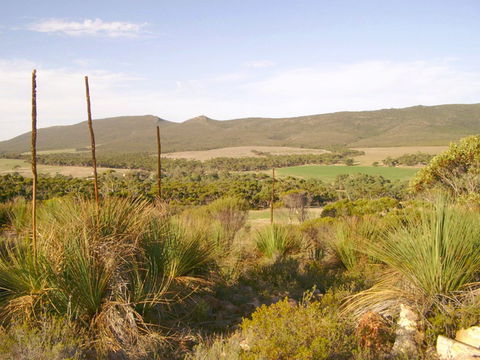 Nyroca Campsite & Group Accommodation - Accommodation Redcliffe 0