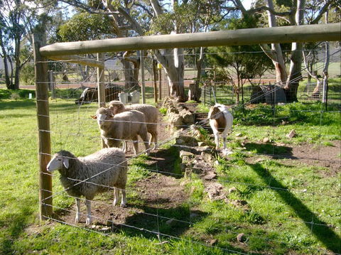 Nyroca Campsite & Group Accommodation - Accommodation Redcliffe 2