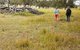 Sundown National Park Camping - thumb 2