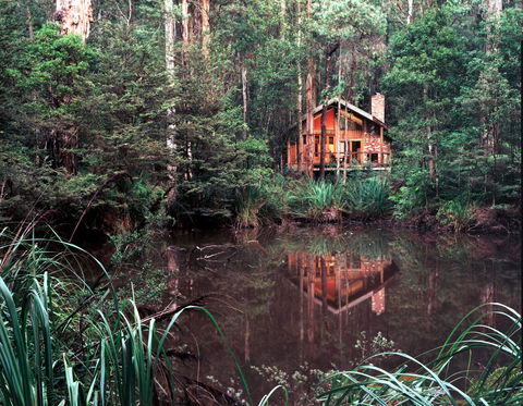 Woodlands Rainforest Retreat - Accommodation Redcliffe 0
