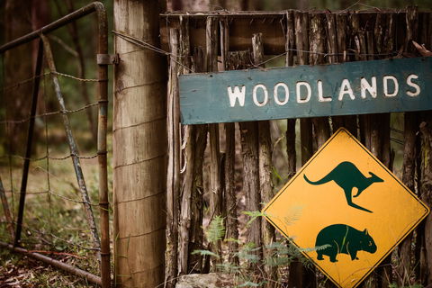 Woodlands Rainforest Retreat - Accommodation Redcliffe 1