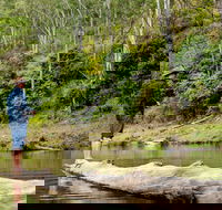 Bass Lodge - Accommodation Redcliffe
