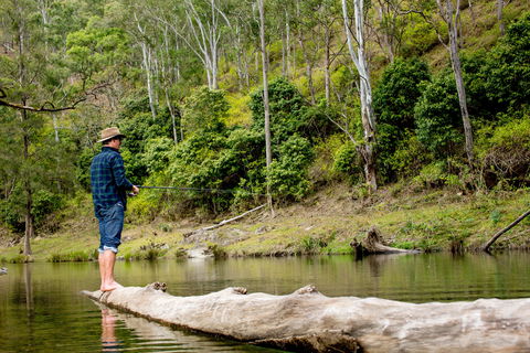 Bass Lodge - Accommodation Redcliffe 0