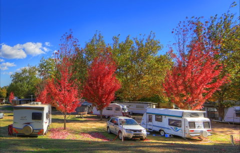Beechworth Lake Sambell Caravan Park - Accommodation Redcliffe 0