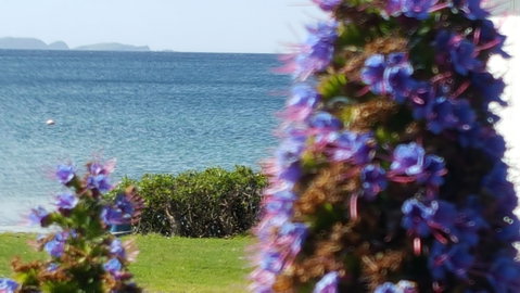 Rock Lobster - Accommodation Redcliffe 2
