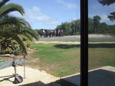 Seahorse Beach Shack - Accommodation Redcliffe 1