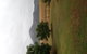 The Old Dairy At Baerami - thumb 2
