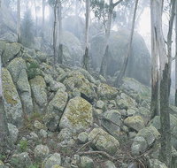 Waratah Gully campground - Accommodation Redcliffe