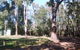 Workmans Pool Camp At St John Brook National Park - thumb 0