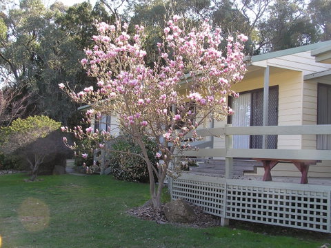Annies Holiday Units - Accommodation Redcliffe 0