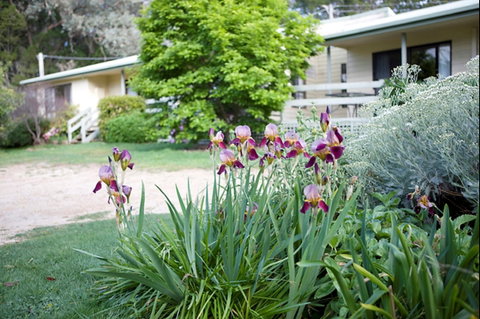 Annies Holiday Units - Accommodation Redcliffe 2