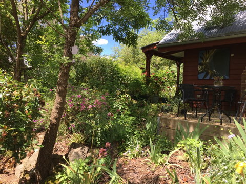 Artscape Cottage Beechworth - Accommodation Redcliffe 2