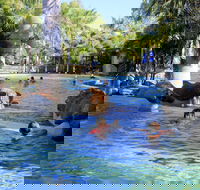 Big4 Aussie Outback Oasis Holiday Park - Accommodation Redcliffe