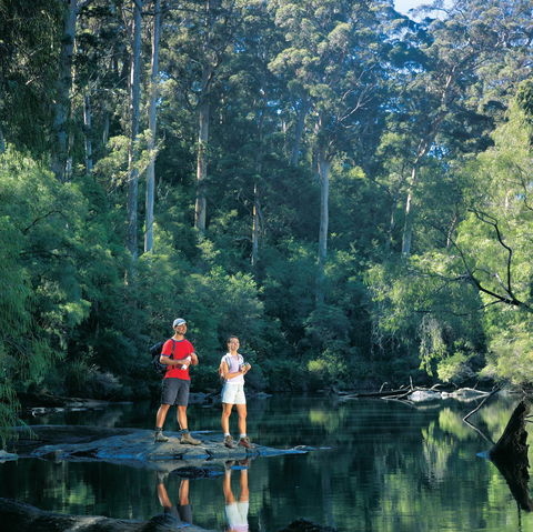 Drafty's Camp At Warren National Park - Accommodation Redcliffe 0