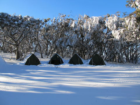 Mt Stirling Alpine Winter Camp - Accommodation Redcliffe 1