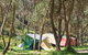 Pebbly Beach Campground - Yuraygir National Park - thumb 1