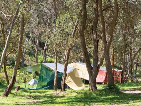 Pebbly Beach Campground - Yuraygir National Park - Accommodation Redcliffe 1