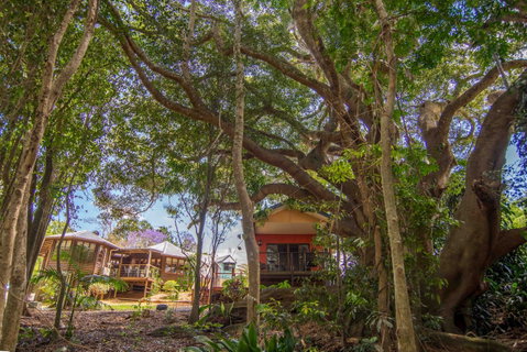 The African Village - By Clouds - Accommodation Redcliffe 0