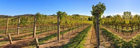 De Vine Escape - Accommodation Redcliffe 4