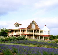 Serendipity Lavender Farm - Accommodation Redcliffe