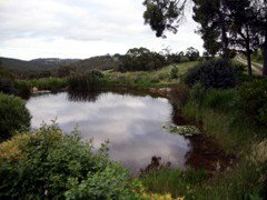 Carolins Organic Farm - Accommodation Redcliffe 1
