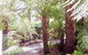 Glenview Retreat - thumb 2