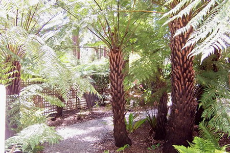 Glenview Retreat - Accommodation Redcliffe 2