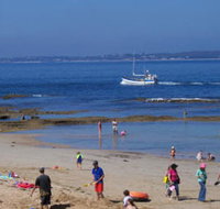 QueenscliffeTourist Park - Accommodation Redcliffe