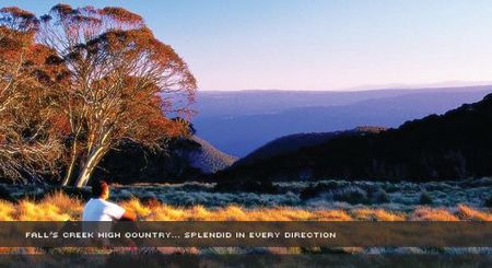 Alpine View Apartments - Accommodation Redcliffe 1